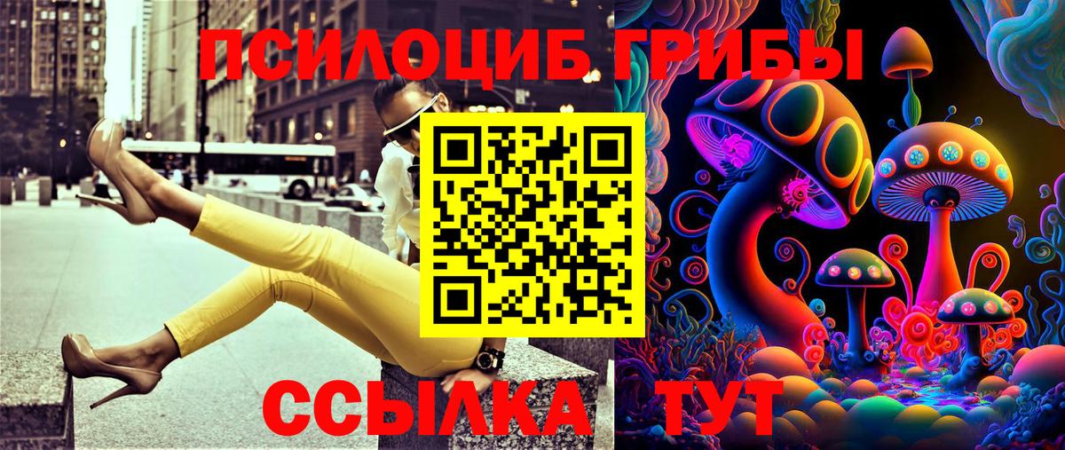 Галлюциногенные грибы Cubensis Удомля