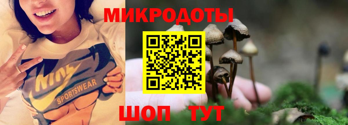 Псилоцибиновые грибы Cubensis  Вход с VPN  Удомля 